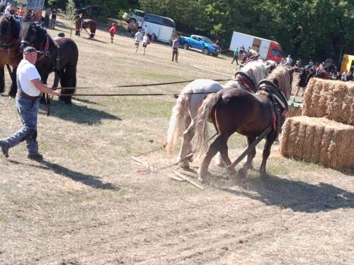 IMG_20260808_153727